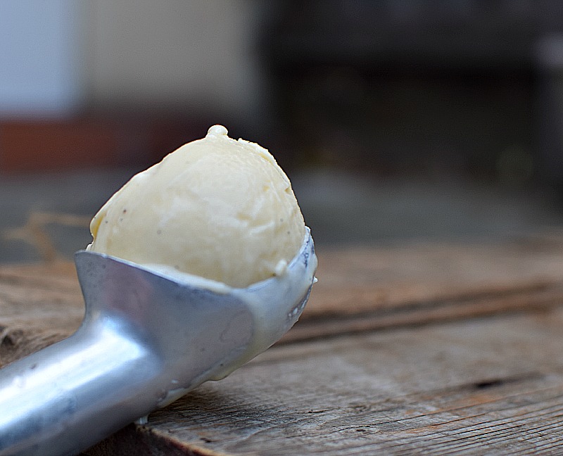 Vanilla bean ice cream in a scoop