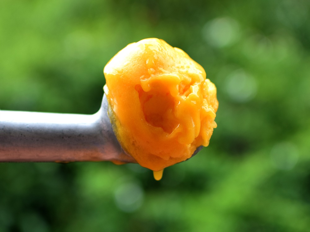 Mango sorbet on a scoop