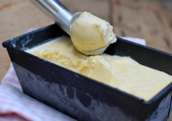 Vanilla bean ice cream